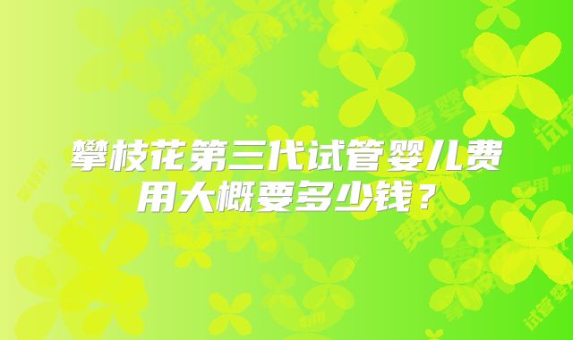 攀枝花第三代试管婴儿费用大概要多少钱?