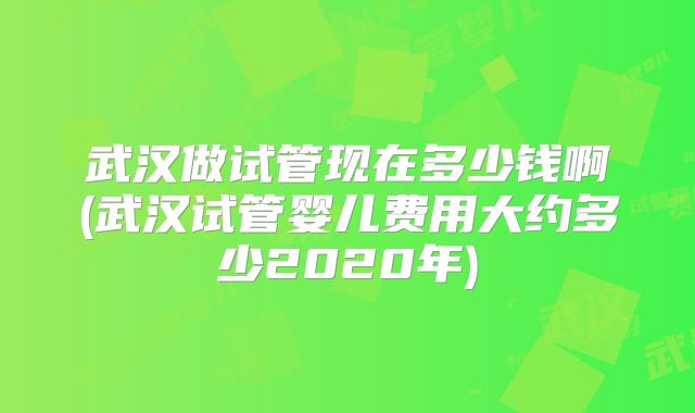 武汉做试管现在多少钱啊(武汉试管婴儿费用大约多少2020年)