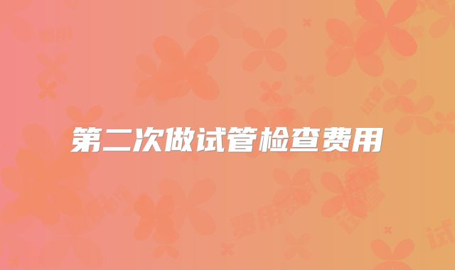 第二次做试管检查费用