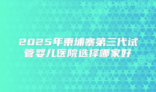 2025年柬埔寨第三代试管婴儿医院选择哪家好