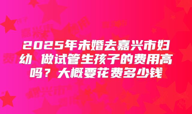 2025年未婚去嘉兴市妇幼 做试管生孩子的费用高吗?大概要花费多少钱