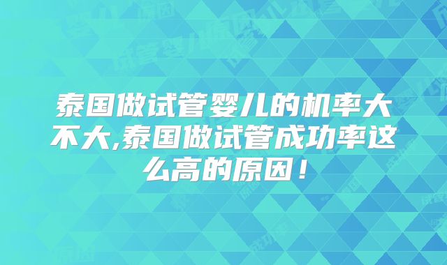 泰国做试管婴儿的机率大不大,泰国做试管成功率这么高的原因!