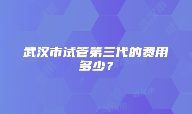 武汉市试管第三代的费用多少？