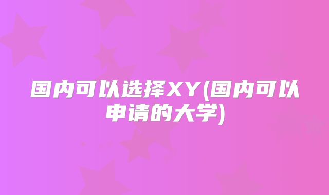 国内可以选择XY(国内可以申请的大学)
