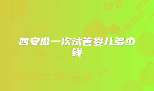 西安做一次试管婴儿多少钱