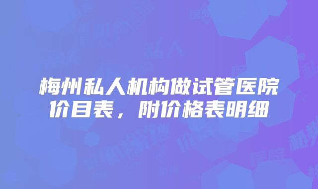 梅州私人机构做试管医院价目表，附价格表明细