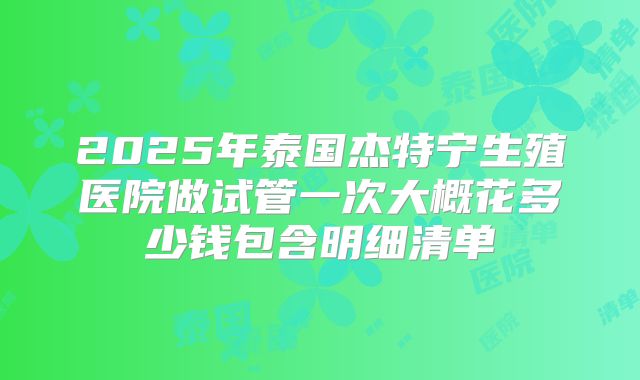 2025年泰国杰特宁生殖医院做试管一次大概花多少钱包含明细清单