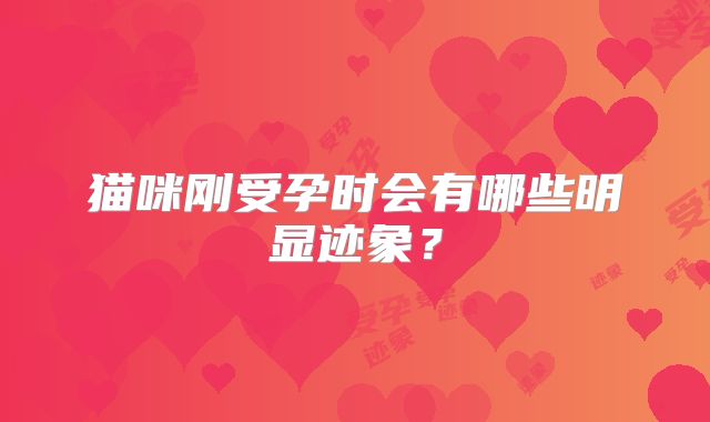 猫咪刚受孕时会有哪些明显迹象？