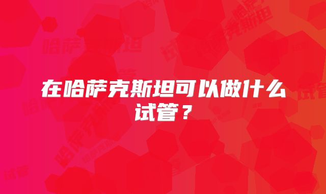 在哈萨克斯坦可以做什么试管?