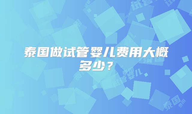 泰国做试管婴儿费用大概多少？