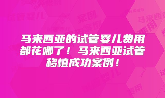 马来西亚的试管婴儿费用都花哪了!马来西亚试管移植成功案例!