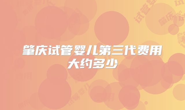 肇庆试管婴儿第三代费用大约多少