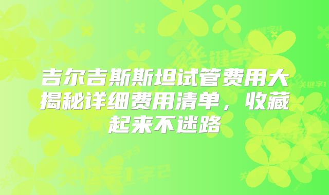 吉尔吉斯斯坦试管费用大揭秘详细费用清单，收藏起来不迷路