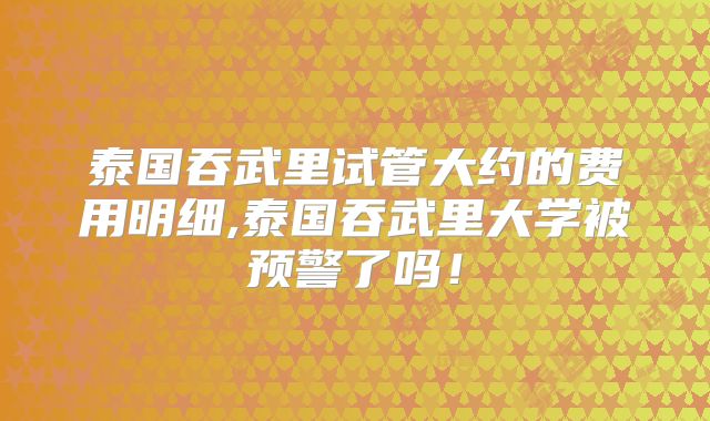泰国吞武里试管大约的费用明细,泰国吞武里大学被预警了吗！