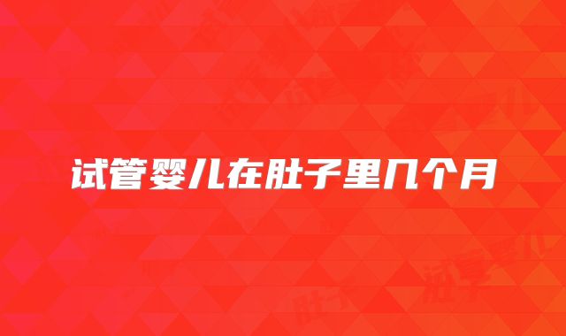 试管婴儿在肚子里几个月