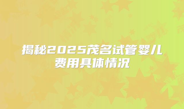 揭秘2025茂名试管婴儿费用具体情况
