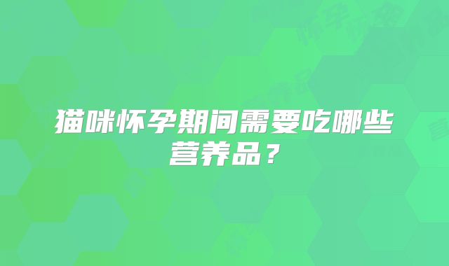 猫咪怀孕期间需要吃哪些营养品?