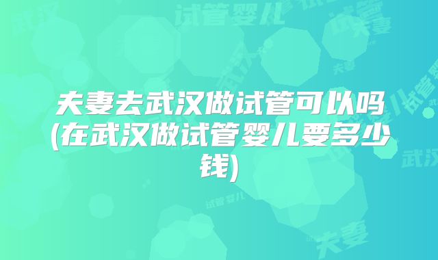 夫妻去武汉做试管可以吗(在武汉做试管婴儿要多少钱)