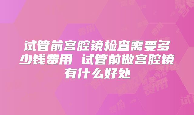 试管前宫腔镜检查需要多少钱费用 试管前做宫腔镜有什么好处