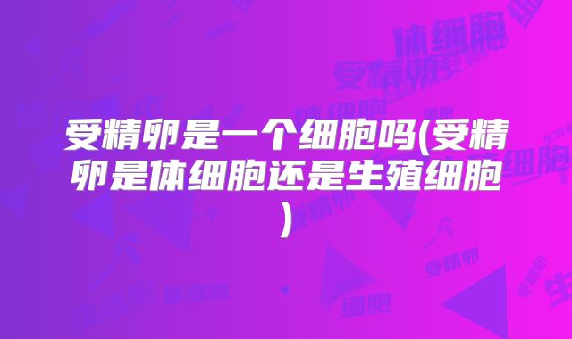 受精卵是一个细胞吗(受精卵是体细胞还是生殖细胞)
