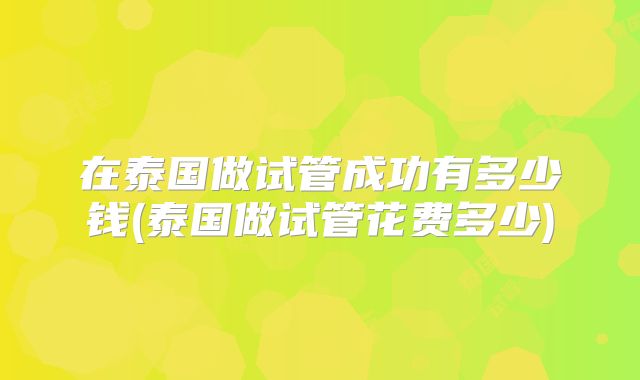 在泰国做试管成功有多少钱(泰国做试管花费多少)