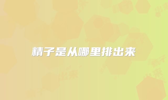 精子是从哪里排出来
