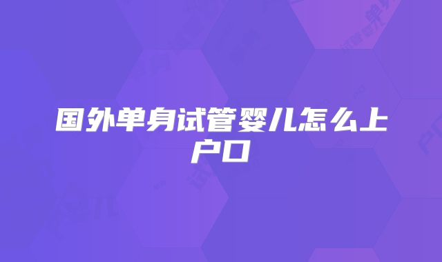 国外单身试管婴儿怎么上户口