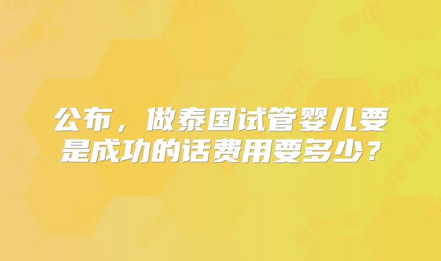 公布,做泰国试管婴儿要是成功的话费用要多少?