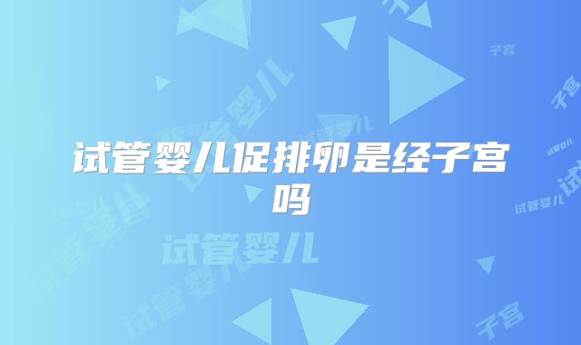 试管婴儿促排卵是经子宫吗