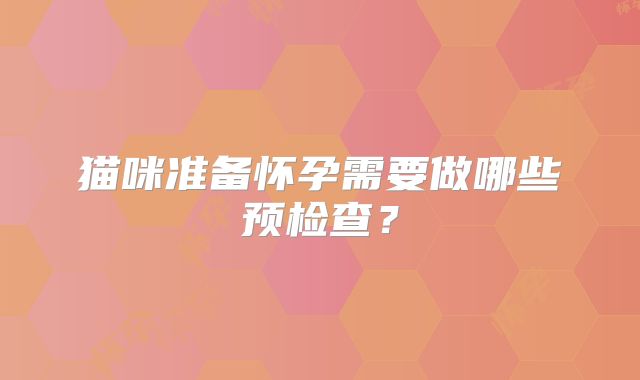 猫咪准备怀孕需要做哪些预检查？