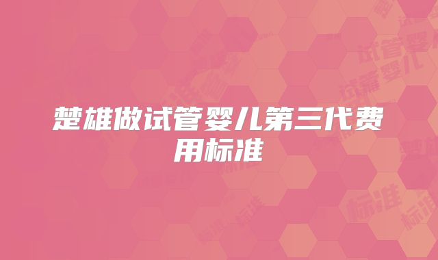 楚雄做试管婴儿第三代费用标准