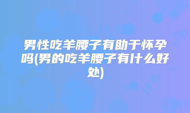 男性吃羊腰子有助于怀孕吗(男的吃羊腰子有什么好处)