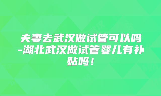 夫妻去武汉做试管可以吗-湖北武汉做试管婴儿有补贴吗!