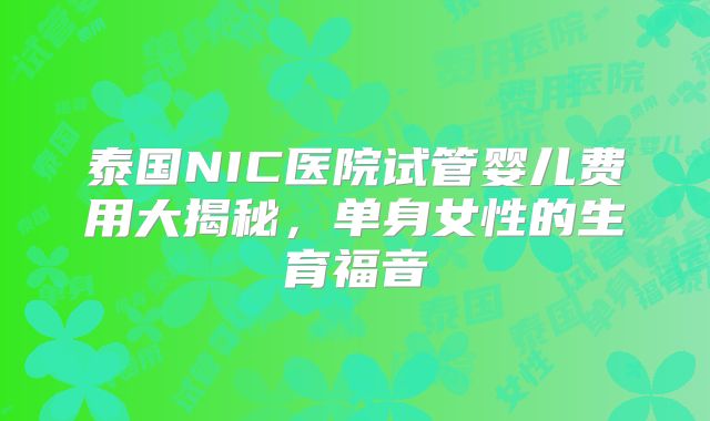 泰国NIC医院试管婴儿费用大揭秘，单身女性的生育福音