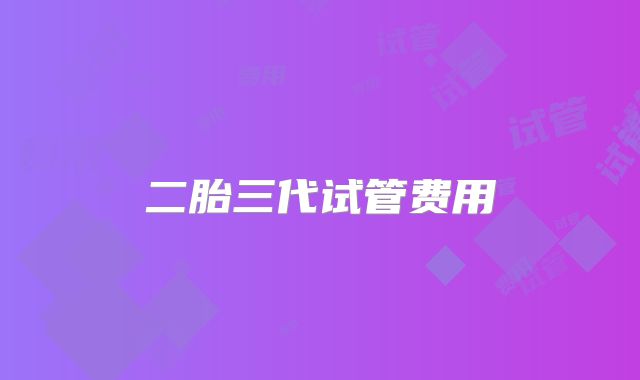 二胎三代试管费用
