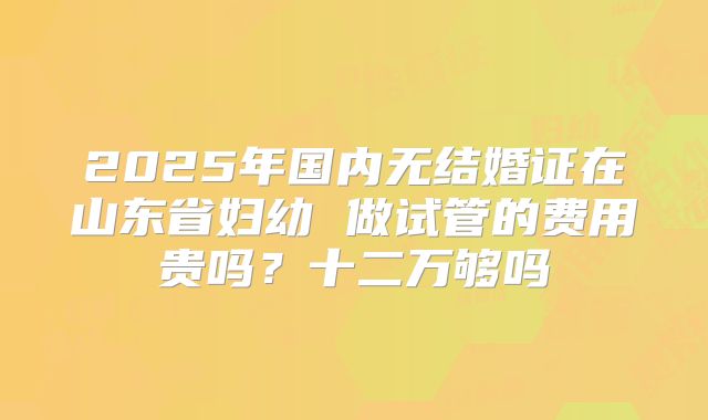 2025年国内无结婚证在山东省妇幼 做试管的费用贵吗?十二万够吗