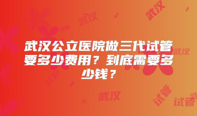 武汉公立医院做三代试管要多少费用?到底需要多少钱?