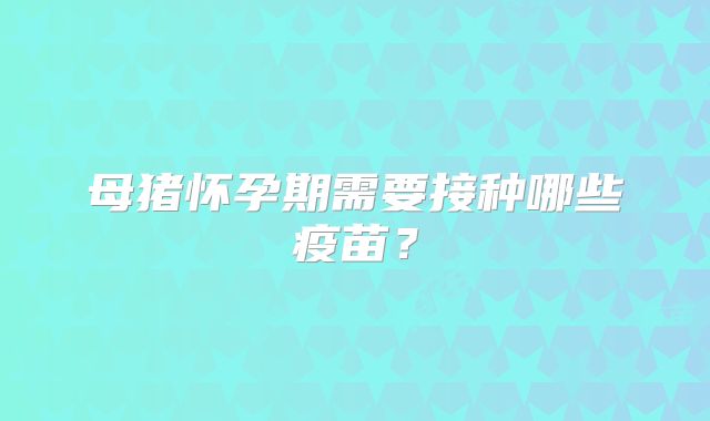 母猪怀孕期需要接种哪些疫苗?