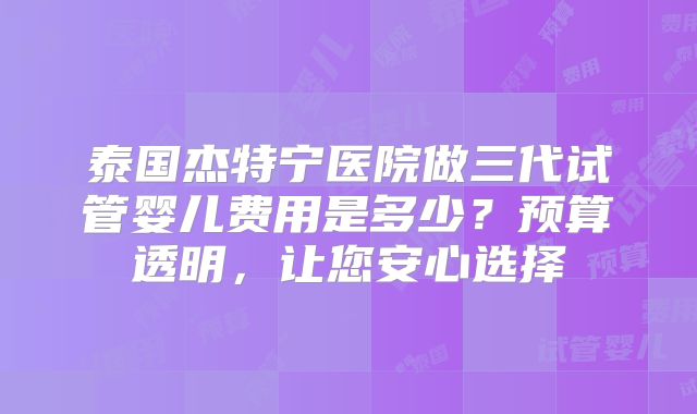 泰国杰特宁医院做三代试管婴儿费用是多少？预算透明，让您安心选择