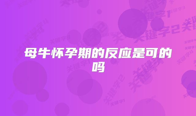母牛怀孕期的反应是可的吗