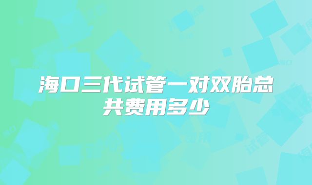 海口三代试管一对双胎总共费用多少
