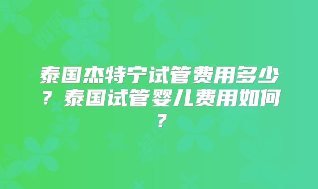 泰国杰特宁试管费用多少？泰国试管婴儿费用如何？