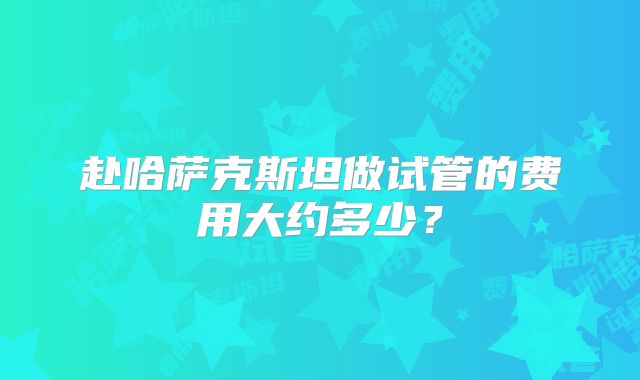 赴哈萨克斯坦做试管的费用大约多少？