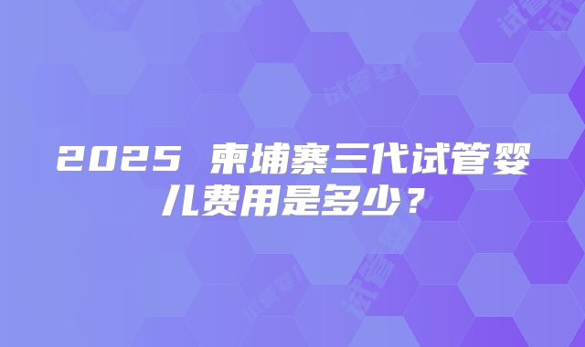 2025 柬埔寨三代试管婴儿费用是多少?
