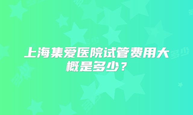 上海集爱医院试管费用大概是多少？