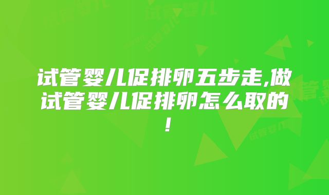 试管婴儿促排卵五步走,做试管婴儿促排卵怎么取的！
