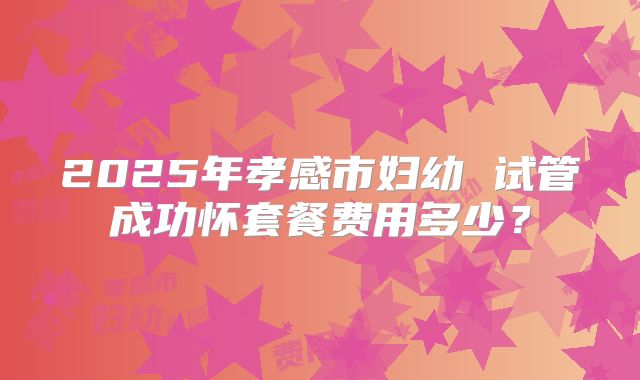 2025年孝感市妇幼 试管成功怀套餐费用多少？