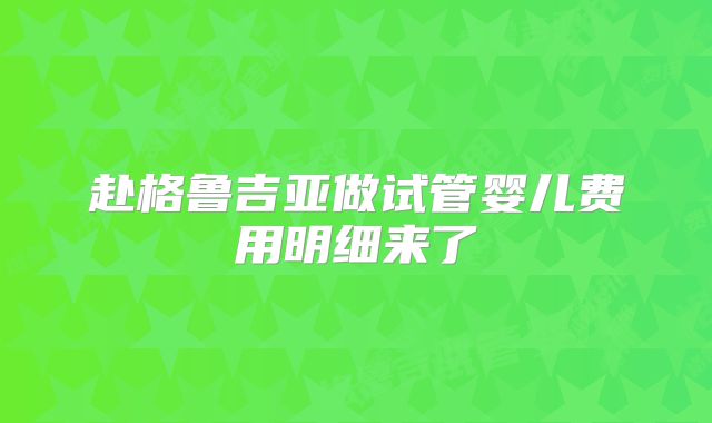 赴格鲁吉亚做试管婴儿费用明细来了