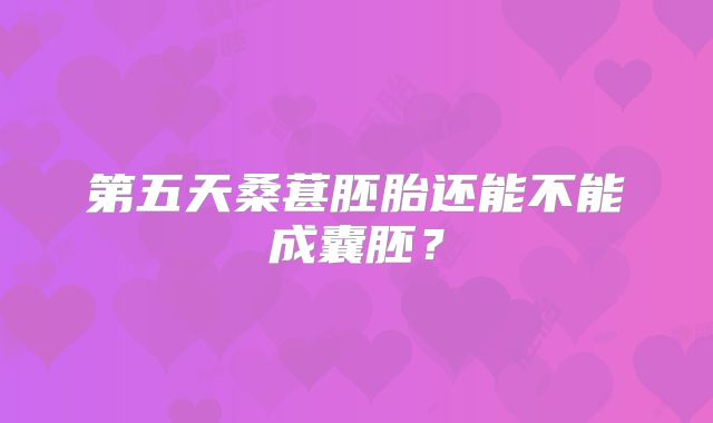 第五天桑葚胚胎还能不能成囊胚？