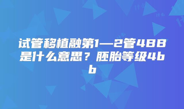 试管移植融第1—2管4BB是什么意思?胚胎等级4bb
